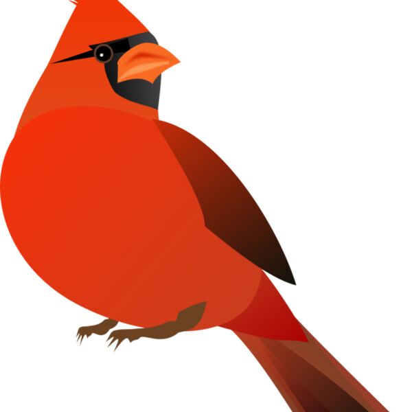 redcardinal Thumbnail