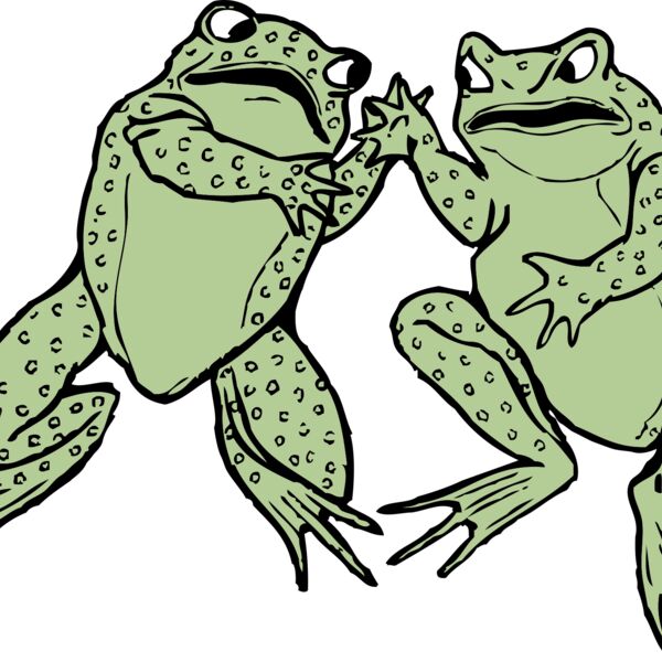 johnny automatic two frogs Thumbnail