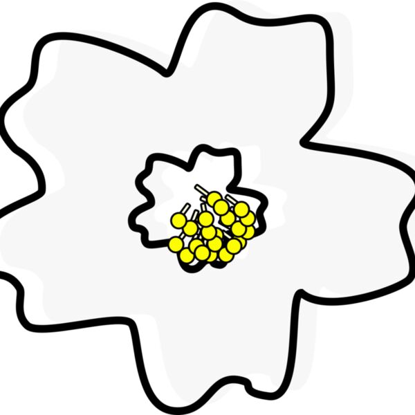 sakura dave pena 01 Thumbnail