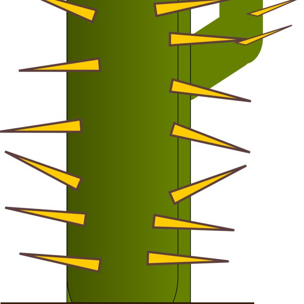 zesarvictoria cactus 1 Thumbnail