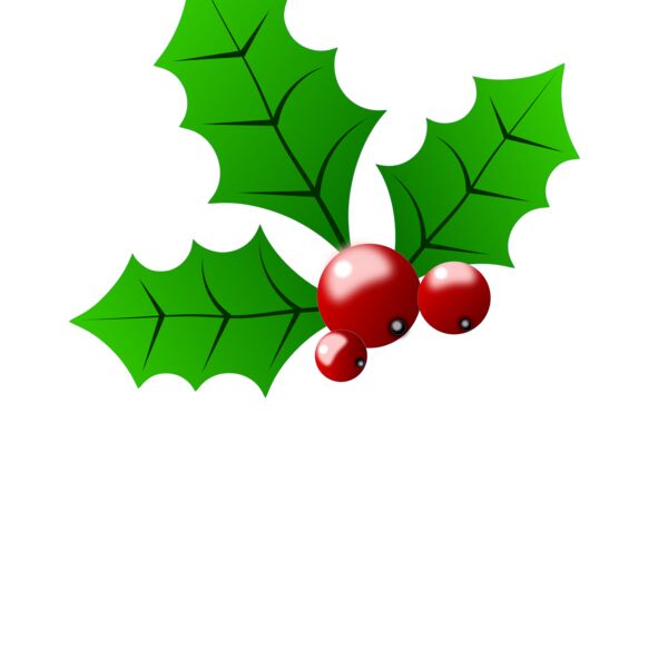 holly berries Thumbnail