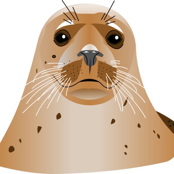 seal  3  Thumbnail