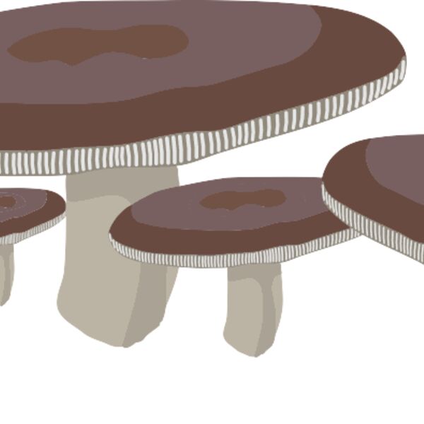 Mushrooms1 Thumbnail