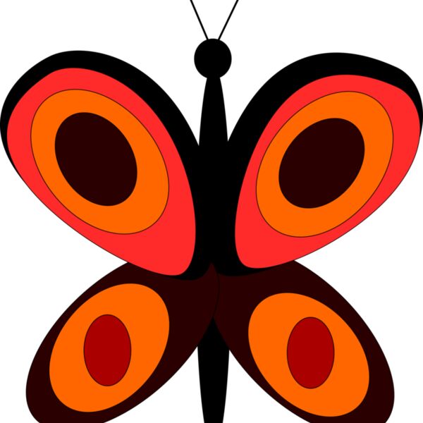 Machovka little butterfly Thumbnail