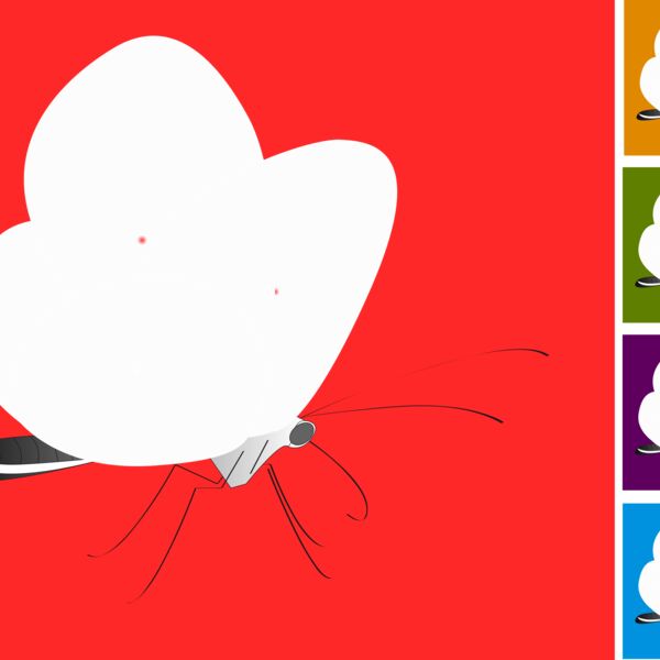 colourful butterflies Thumbnail