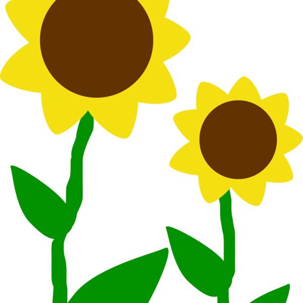 Machovka sunflowers Thumbnail