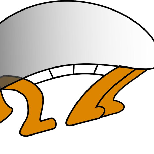 roym tortue1 Thumbnail