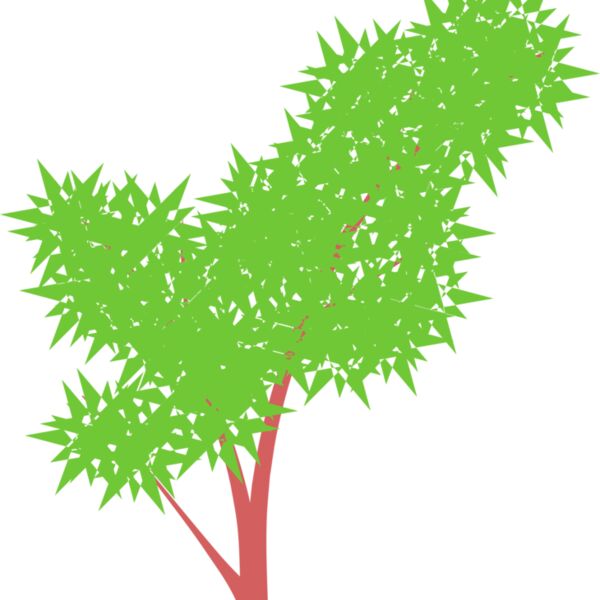 Jenny Arder Tree 1 Thumbnail