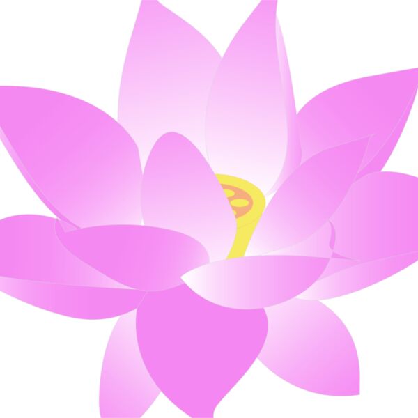 lotus fleur Thumbnail