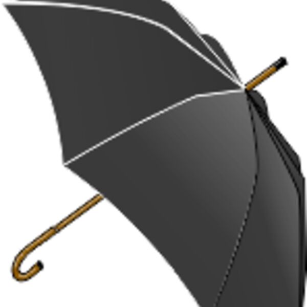 LX Black Umbrella Thumbnail