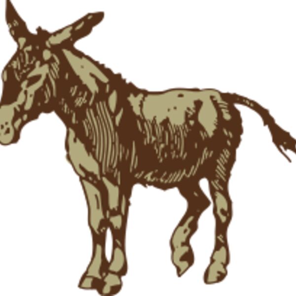 johnny automatic donkey 1 Thumbnail