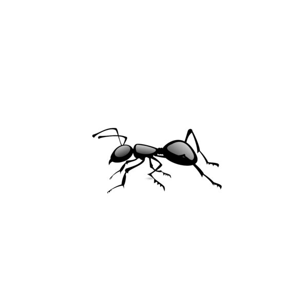 1276548403  2  Thumbnail