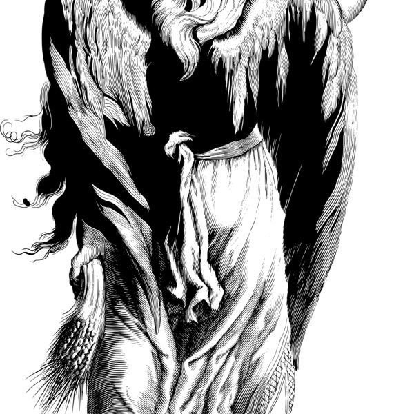 20b5f62d  2  Thumbnail