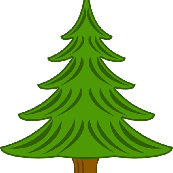 jean victor balin sapin 03 Thumbnail