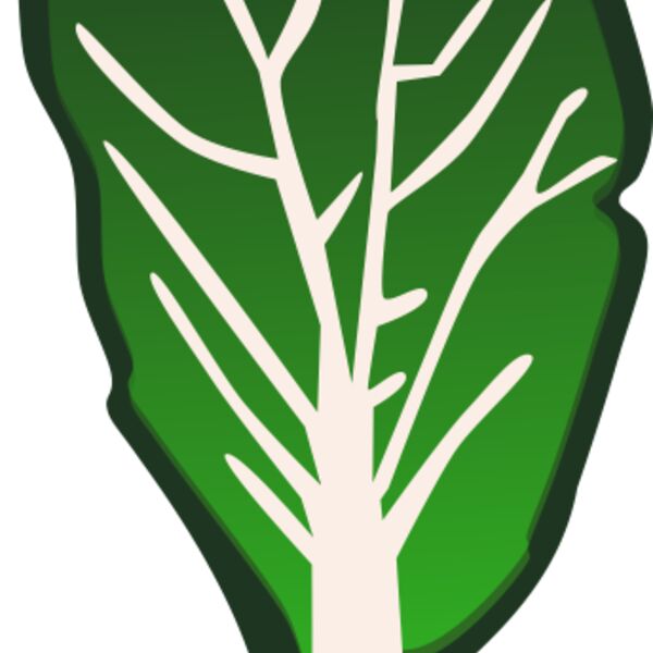 mekonee 29 vegetables set 3 Thumbnail