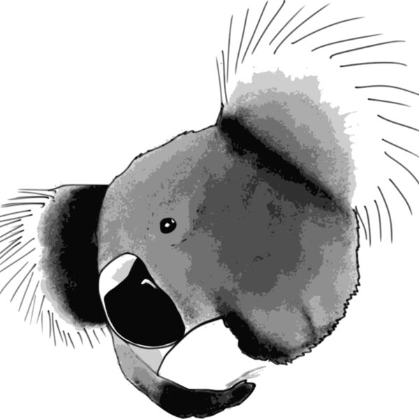 Koala Thumbnail