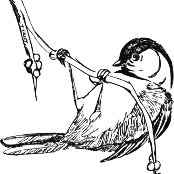 ryanlerch black capped chickedee Thumbnail