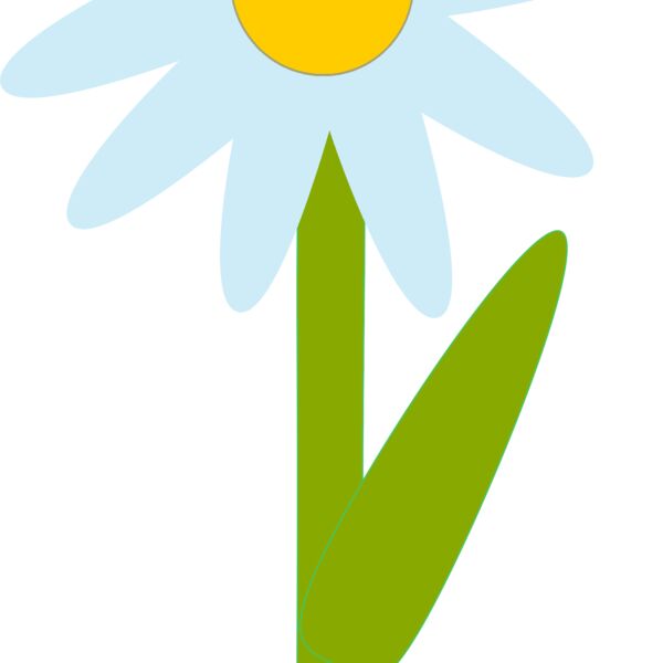 Machovka marguerite Thumbnail