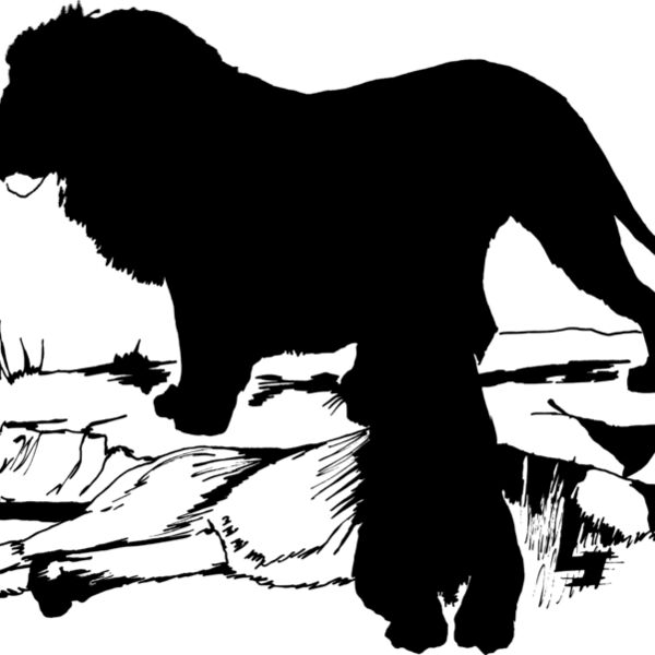 1298112570  2  Thumbnail