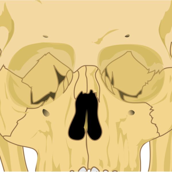 liftarn Human skull Thumbnail