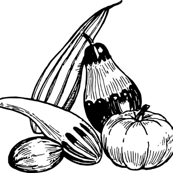 warszawianka Gourds Thumbnail