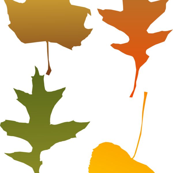 autum leaf Thumbnail