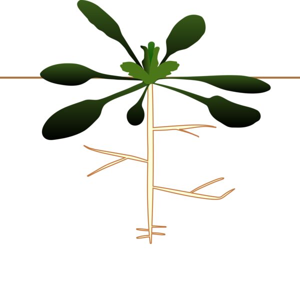 1345600206  2  Thumbnail