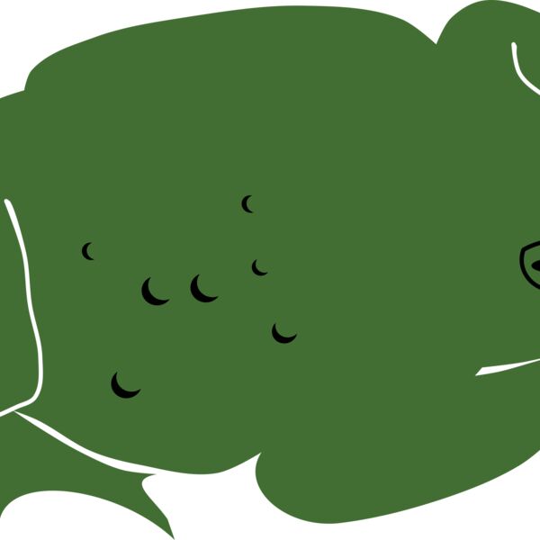 Toad by Rones Thumbnail