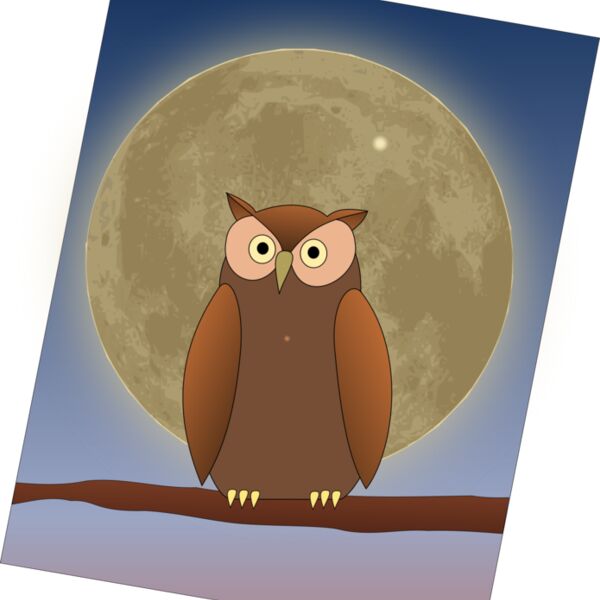 The Owl and The Moon Thumbnail