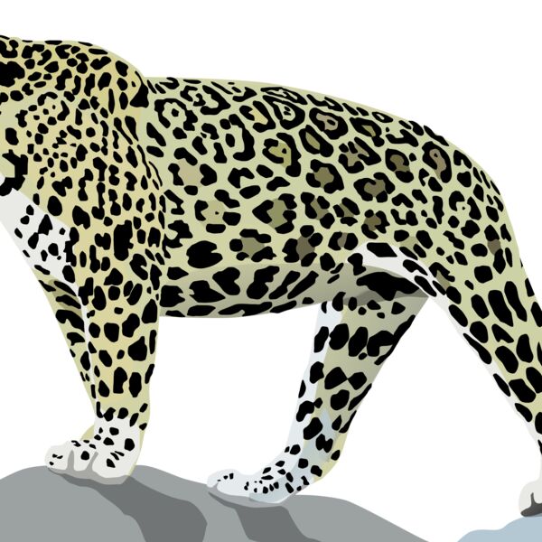 1277871164  2  Thumbnail