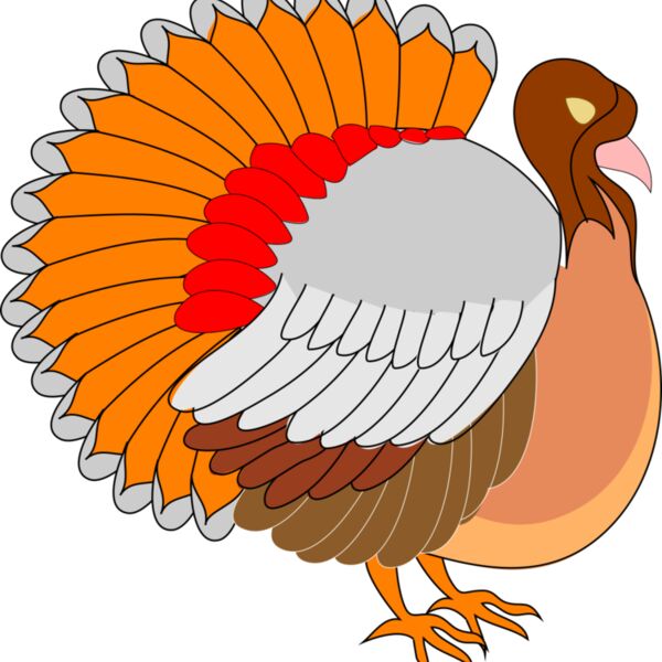 Turkey Thumbnail
