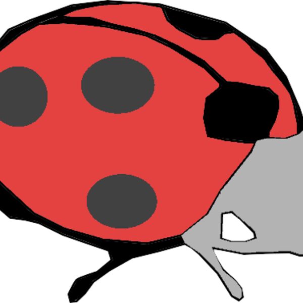Machovka lady bug Thumbnail