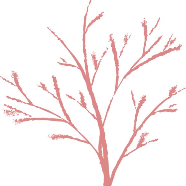 Jenny Arder Tree Thumbnail