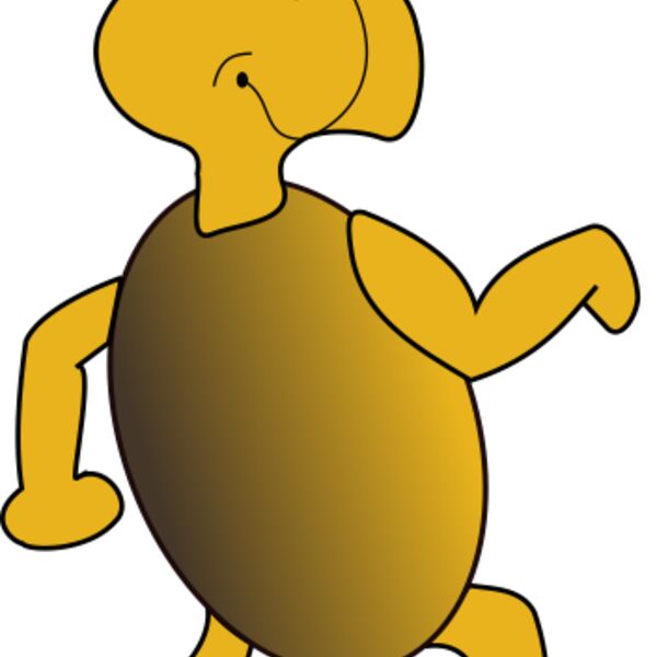 roym tortue2 Thumbnail