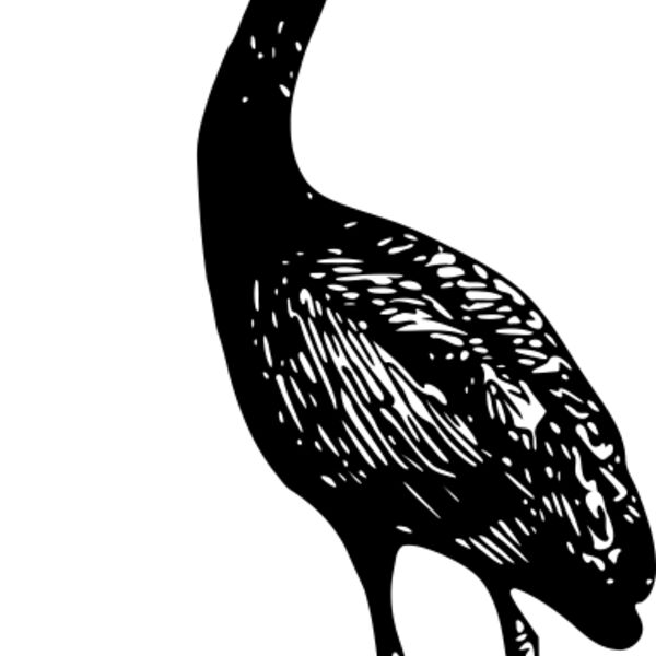 ryanlerch Glossy Ibis 2 Thumbnail