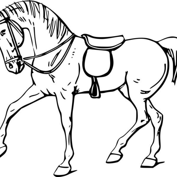 warszawianka Walking horse outline 1 Thumbnail