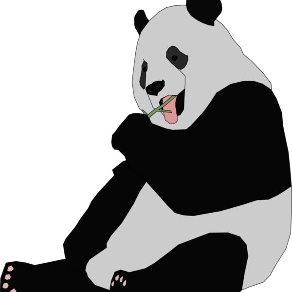 Machovka panda Thumbnail