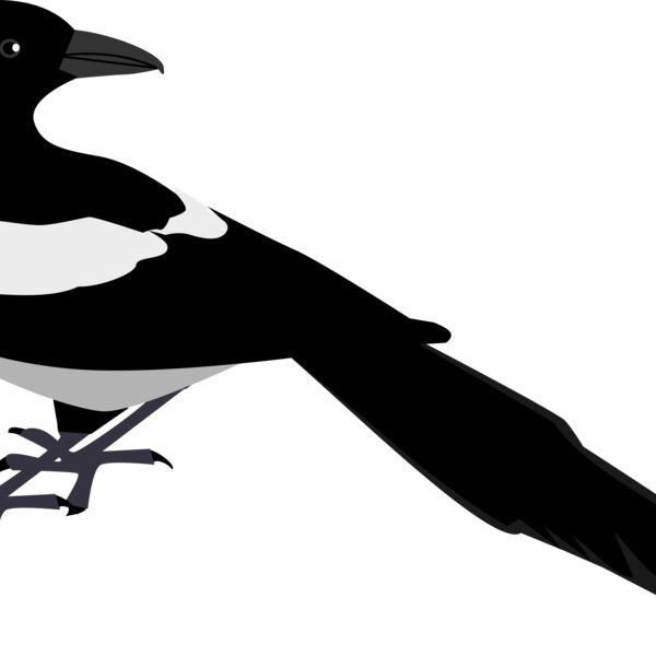 zeimusu Magpie 2 Thumbnail