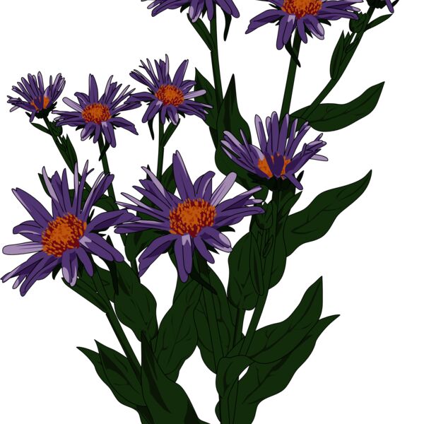 1392375506  2  Thumbnail