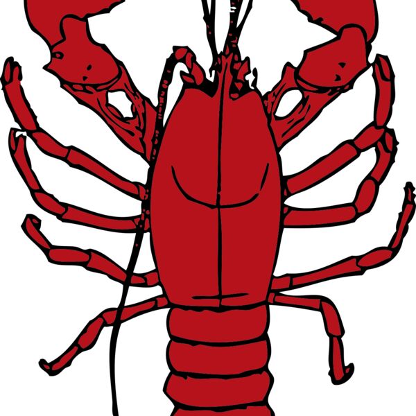 johnny automatic lobster 1 Thumbnail