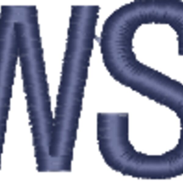 WSGS LIGHTS Thumbnail