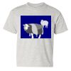 Heavy Cotton Youth T-Shirt Thumbnail