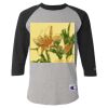 Raglan Baseball T-Shirt Thumbnail